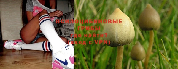 кокс Бородино
