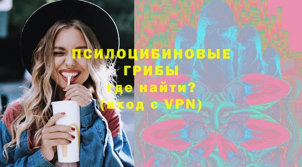 ПСИЛОЦИБИНОВЫЕ ГРИБЫ Бронницы