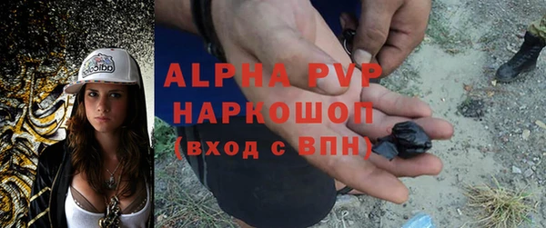 кокс Бородино