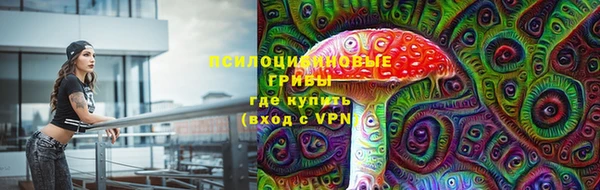 кокс Бородино