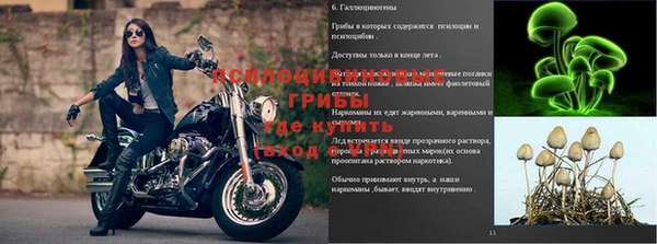 кокс Бородино